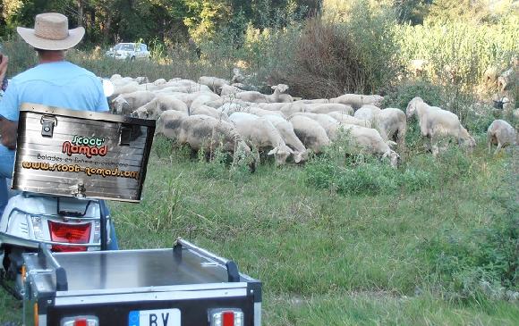 balade à scooter en drôme provençale