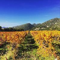 balade à scooter en drôme provençale